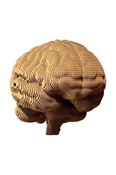 foto 3d пазлы cartonic brain